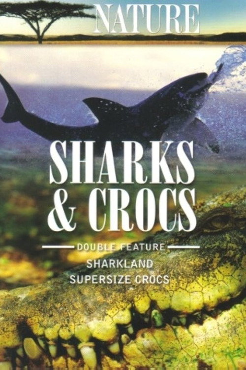 Постер фильма «Sharkland»