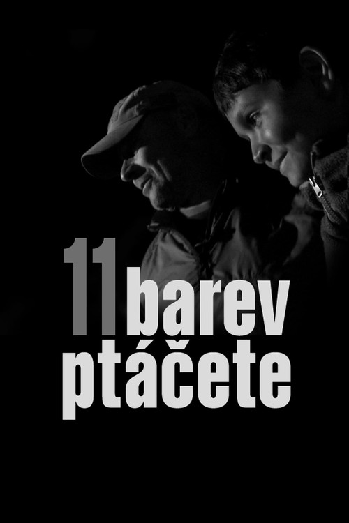 Постер фильма «11 barev ptáčete»