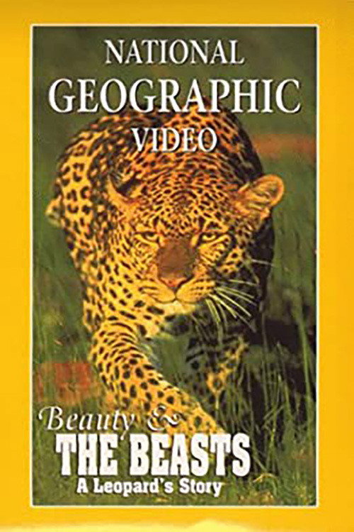 Постер фильма «Beauty and the Beasts: A Leopard's Story»