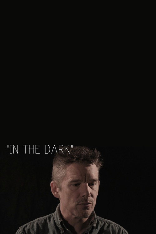 Постер фильма «In the Dark»