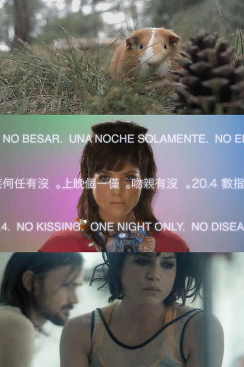 Постер фильма «Animal Love»