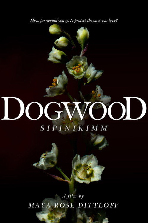 Постер фильма «Dogwood (Sipinikimm)»