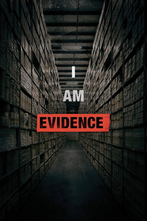 Постер фильма «I Am Evidence»