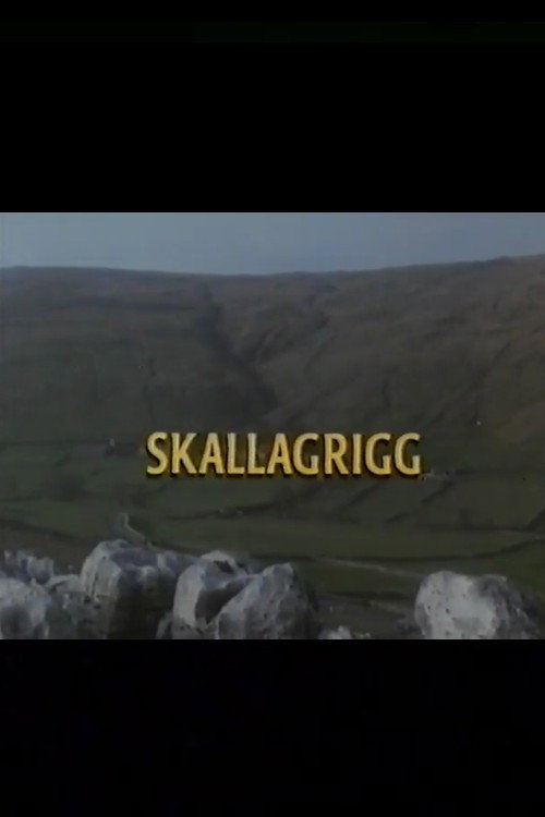Постер фильма «Skallagrigg»