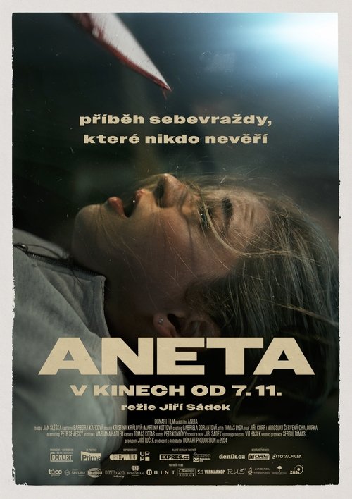 Постер фильма «Aneta»