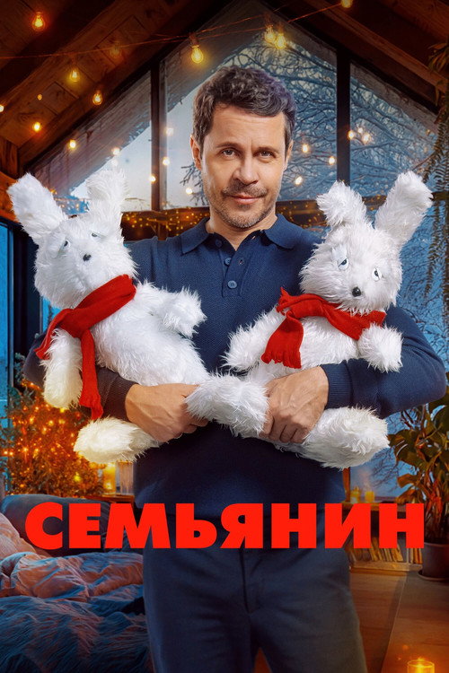 Постер фильма «Семьянин»
