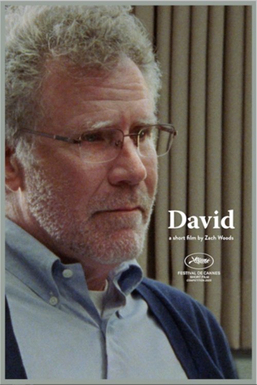 Постер фильма «David»