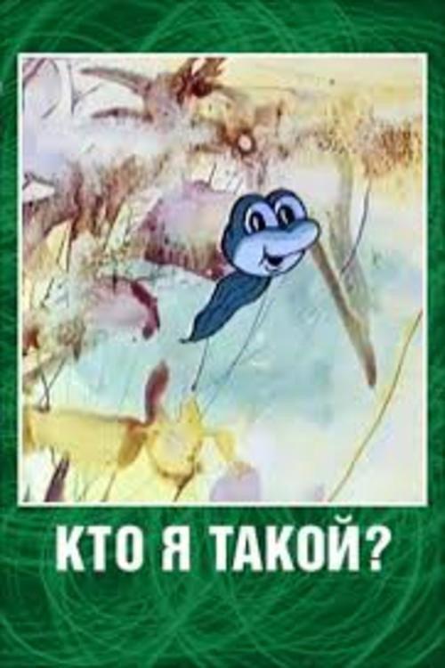 Постер фильма «Кто я такой?»