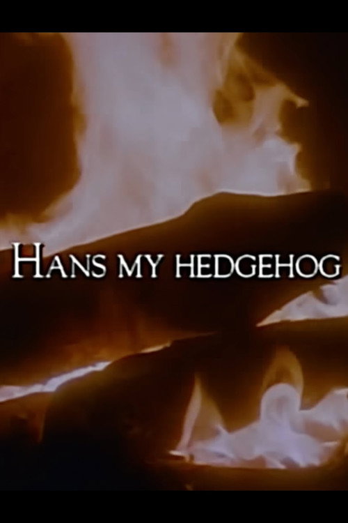 Постер фильма «The Storyteller: Hans My Hedgehog»