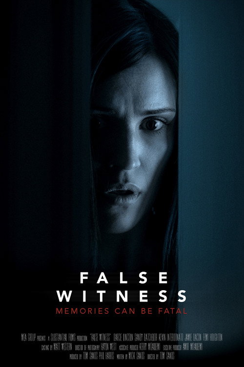 Постер фильма «False Witness»