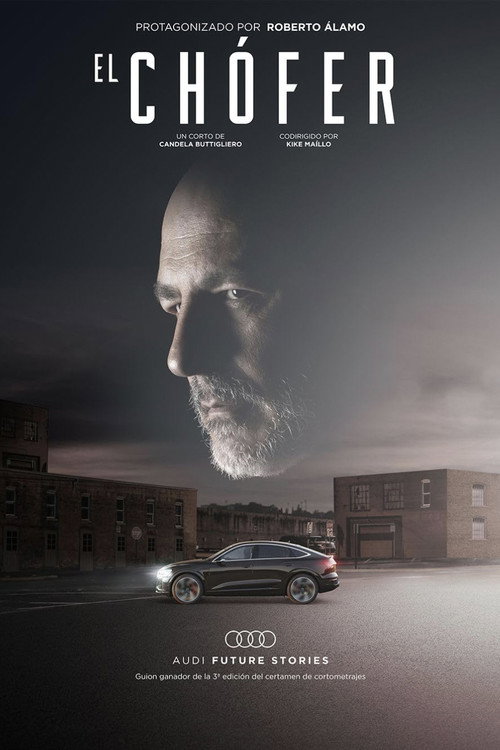 Постер фильма «El Chofer»