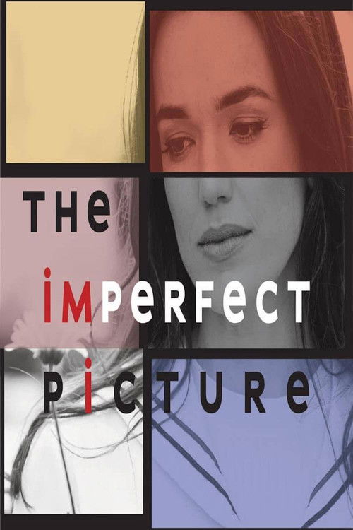 Постер фильма «The Imperfect Picture»