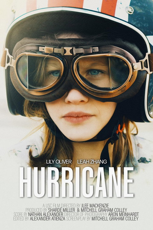 Постер фильма «Hurricane»