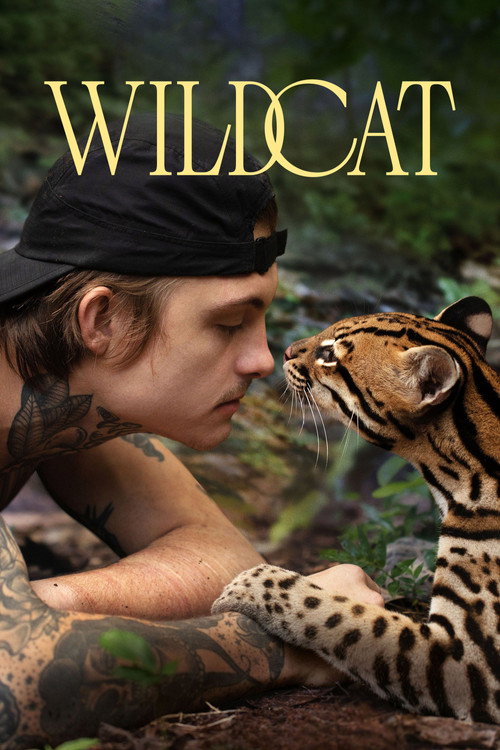 Постер фильма «Wildcat»
