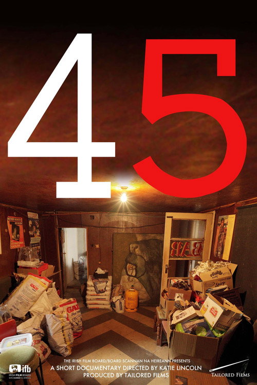 Постер фильма «45»