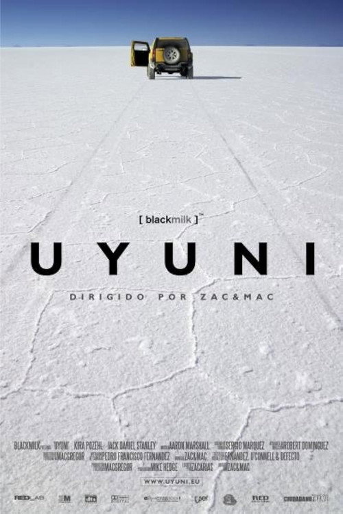 Постер фильма «UYUNI»