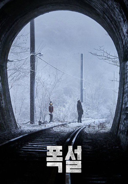 Постер фильма «폭설»