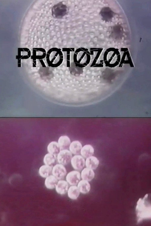 Постер фильма «Protozoa»