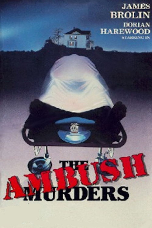 Постер фильма «The Ambush Murders»