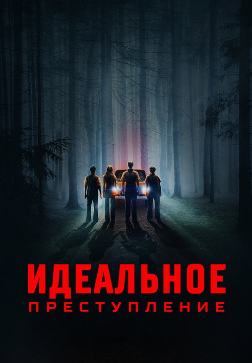 Постер фильма «Идеальное преступление»