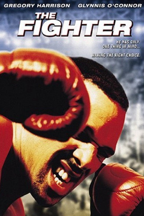 Постер фильма «The Fighter»