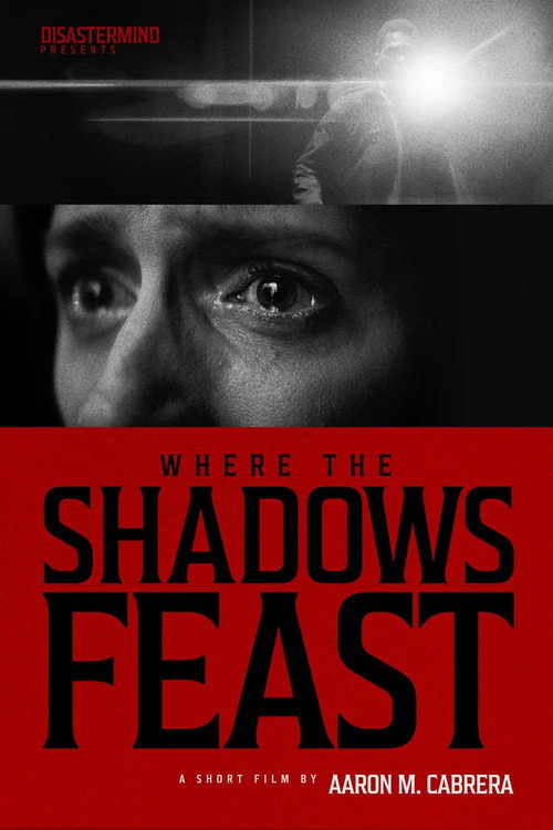 Постер фильма «Where the Shadows Feast»