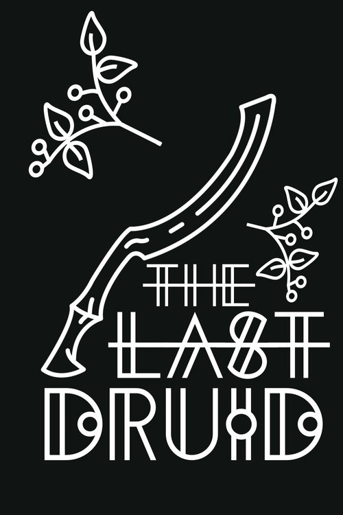Постер фильма «The Last Druid»