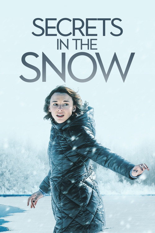 Постер фильма «Secrets in the Snow»