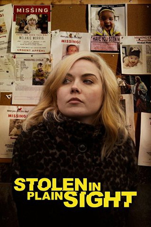 Постер фильма «Stolen in Plain Sight»