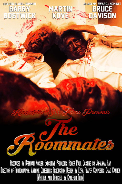Постер фильма «The Roommates»