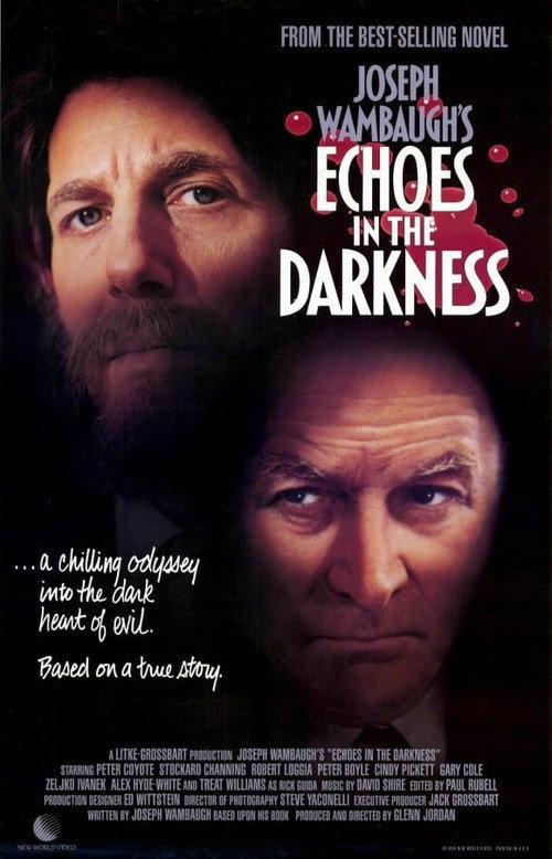 Постер фильма «Echoes in the Darkness»