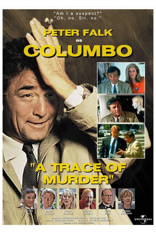 Постер фильма «A Trace of Murder»