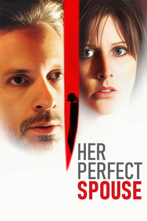 Постер фильма «The Perfect Husband»