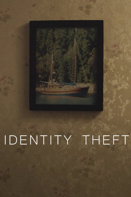 Постер фильма «Identity Theft»
