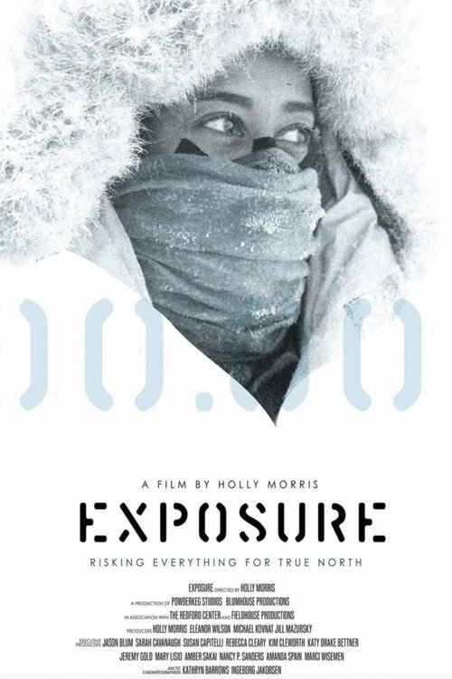 Постер фильма «Exposure»