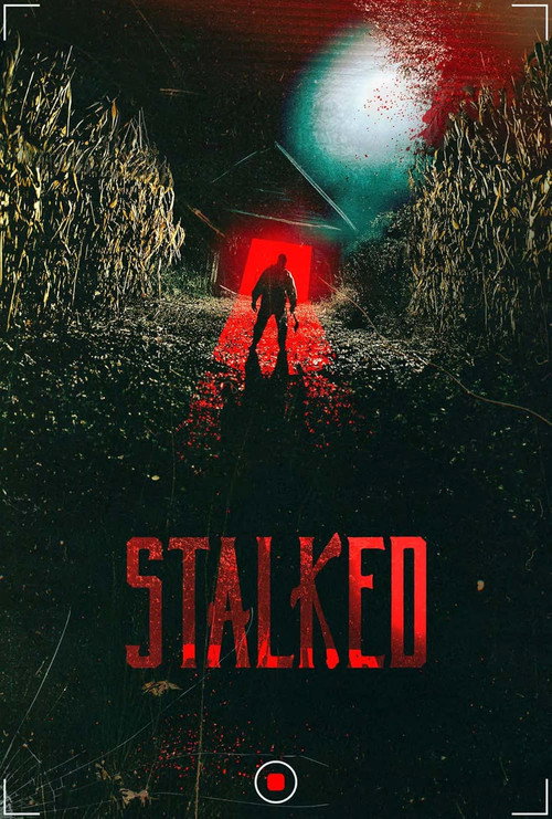Постер фильма «Stalked»