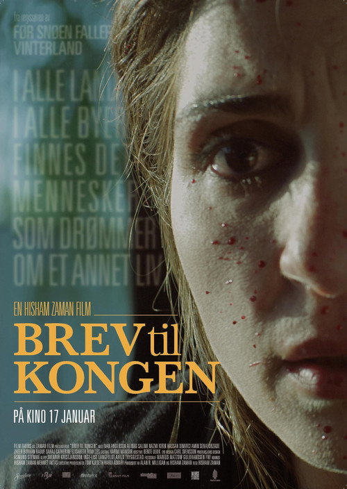 Постер фильма «Brev til kongen»