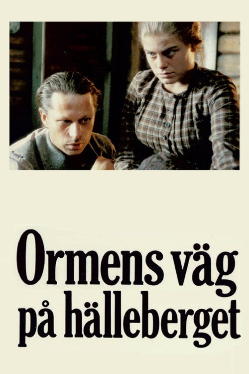 Постер фильма «Ormens väg på hälleberget»