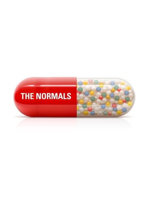 Постер фильма «The Normals»