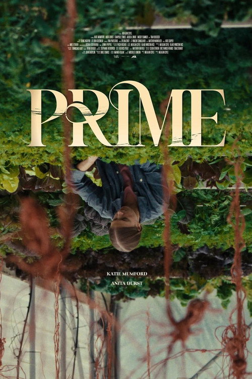 Постер фильма «Prime»