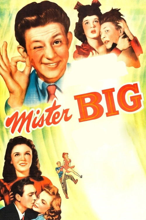 Постер фильма «Mister Big»