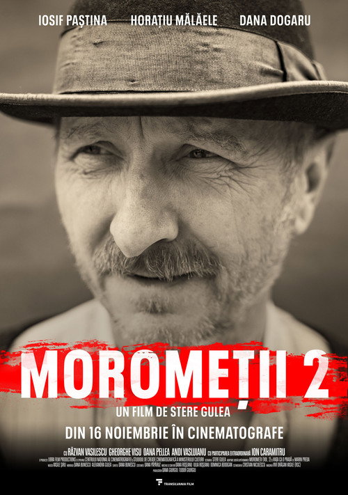 Постер фильма «Moromeţii 2»