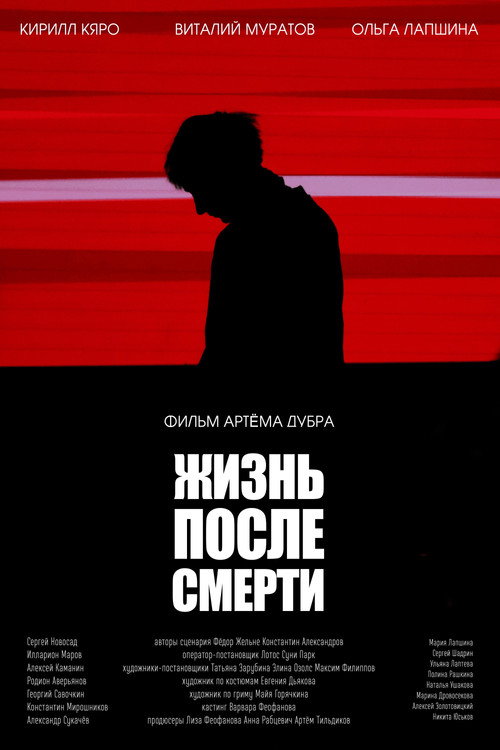 Постер фильма «Жизнь после смерти»