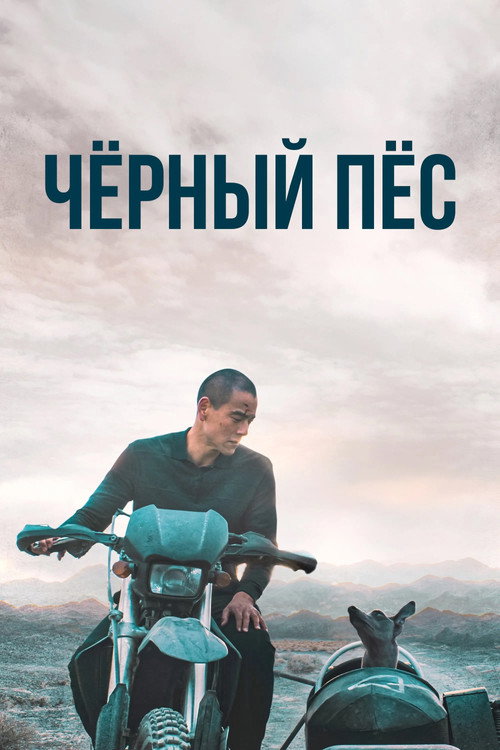 Постер фильма «Чёрный пёс»