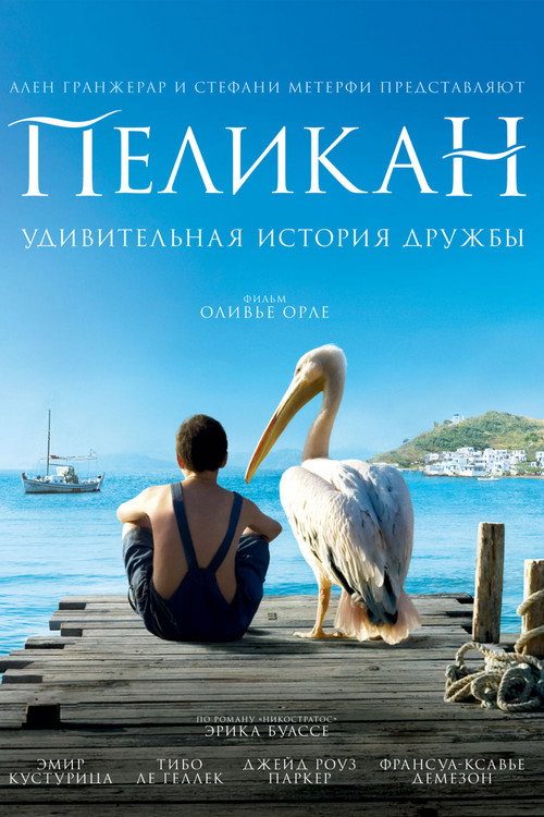 Постер фильма «Пеликан»