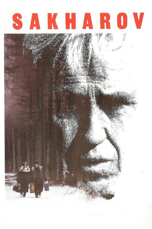 Постер фильма «Сахаров»