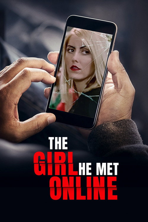 Постер фильма «The Girl He Met Online»
