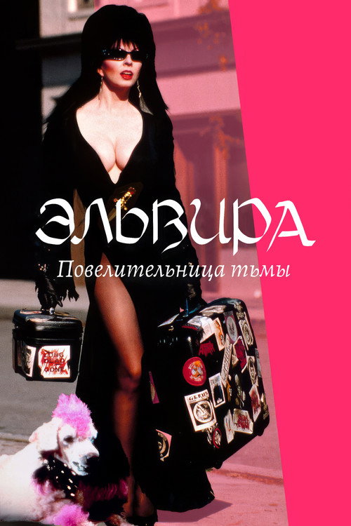 Постер фильма «Эльвира: Повелительница тьмы»