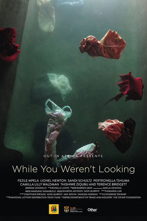 Постер фильма «While You Weren't Looking»