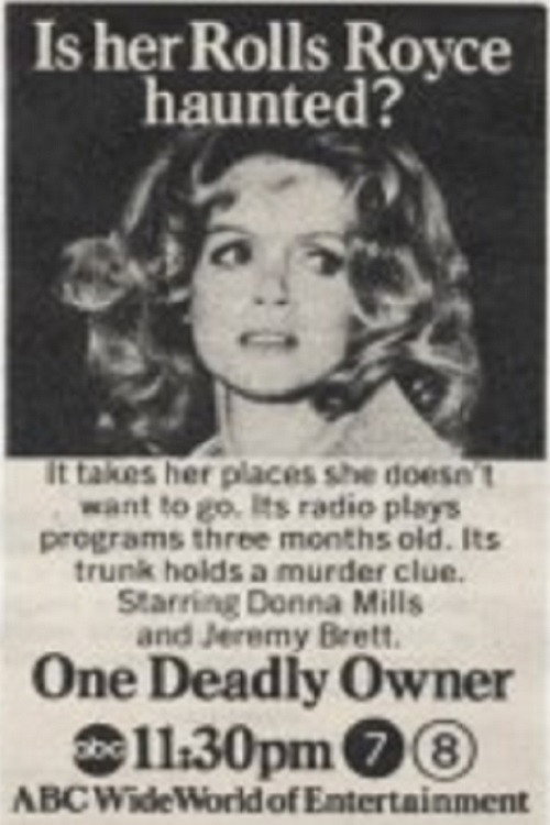 Постер фильма «One Deadly Owner»